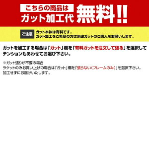 lbNX Ki ASTREL105 AXg105 03AST105 dejX 胉Pbg : y[O[×lCr[ YONEX