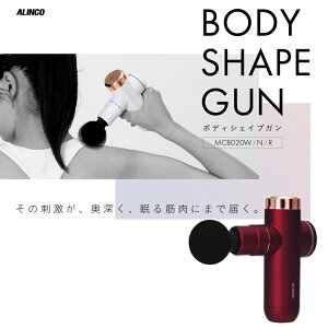 ACR BODY SHAPE GUN R {fBVFCvK bh MCB020R }bT[WK }bT[W@ tBbglX ALINCO