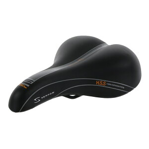 T[t@X C[Q fAfVeB 280×172mm DDMD-200 651426 oCVN Th : ubN SERFAS