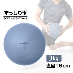 11/1聚Iōő100PobN eBS S \PVC\tgEFCg{[3KG TR YbV^}3K 3LO EGCgObY TIGORA