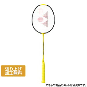 lbNX imtA1000GAME NF-1000G NANOFLARE NF1000Goh~g 胉Pbg : CG[×ubN YONEX
