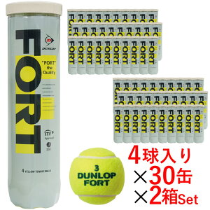 ő10OFFN[| y10/4`10/10z _bv FORT tH[g 4×30×2(240) DFCPEYLPT4 2P[X dejX vbV[{[ DUNLOP