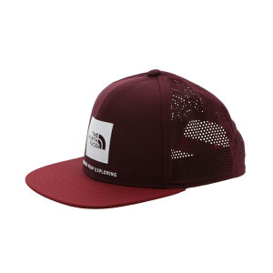 10/25限定★抽選で最大100%Pバック ザ・ノースフェイス メンズ レディス ランニング キャップ Tech Logo Cap テックロゴキャップ NN02379 : レッドブラウン THE NORTH FACE