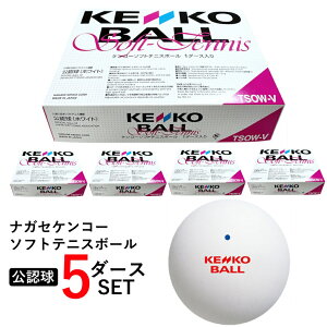 11/1聚Iōő100PobN PR[\tgejX{[ F 5_[X 60(12×5) Zbg TSOW-V ܂Ƃߔ \tgejX ou{[ Kenko