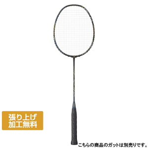 ヨネックス ASTROX 22 RX アストロクス22RX AX22RX バドミントン 未張りラケット : ブラック×ブルーグレー YONEX