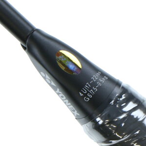 lbNX ASTROX11 AXgNX11 AX11 oh~g 胉Pbg : ubN×O[ YONEX