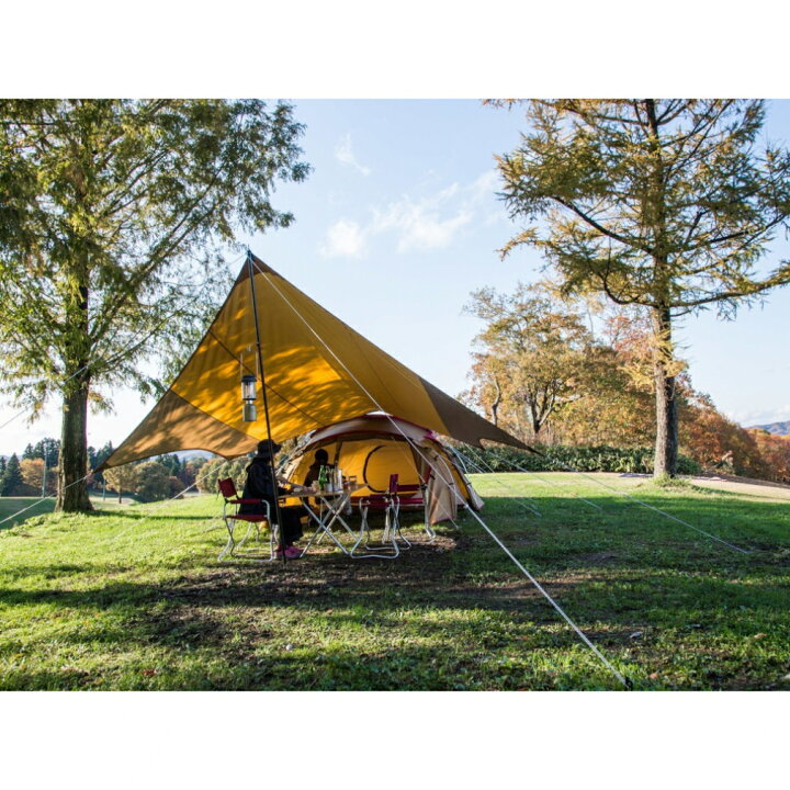 楽天市場】スノーピーク エントリーパックTT ＆ Alpen Outdoors ペグ10  