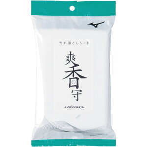 12/5聚Iōő100PobN ~Ym V u ꗎƂV[g 11GZ242100 싅 O[u MIZUNO