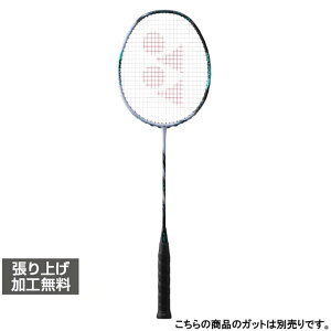 ���l�b�N�X ASTROX 88S PRO �A�X�g���N�X88S�v�� 3AX88S-P �o�h�~���g�� �����胉�P�b�g : �V���o�[×�Z�����A���u���[ YONEX