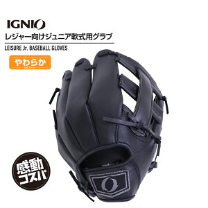 11/1聚Iōő100PobN COjI  W[Ou wZ1`3N 炩dl ubN IG-8BG4014BK C WjA(LbYEq) p 싅 pOu IGNIO