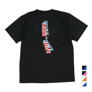 AXg Y fBX o[{[ TVc DRY TVc COLLAPSE BY SPIKE VB24TS03 ALST