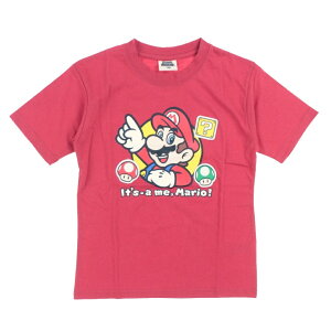 ő10OFFN[| y10/4`10/10z t@CvX WjA LbY q  TVc }I KIDS LmRby TVc 22863190 10 X|[cEFA F bh FINE PLUS