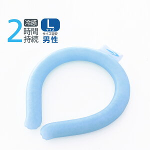 11/1聚Iōő100PobN eBS ON[ MǑ΍ 28 2 LTCY lbNN[[ TIGORA