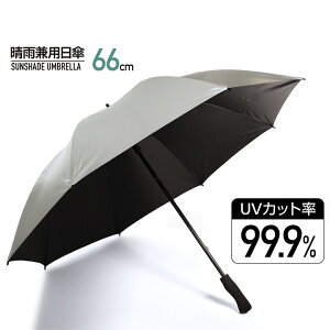 ő10OFFN[| y9/18`9/25z eBS StP Jp P j ^ ՔM UVJbg99 jp X|[cϐ  TIGORA