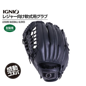 11/10聚Iōő100PobN COjI  W[Ou ʓ lp ubN p IG-8BG1004BKq S p 싅 pOu IGNIO