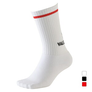 12/15���聚���I�ōő�100��P�o�b�N �P���� �����Y �T�b�J�[/�t�b�g�T�� �\�b�N�X �X�g�b�L���O Clasico SHORT SOCK KR24S220 KELME