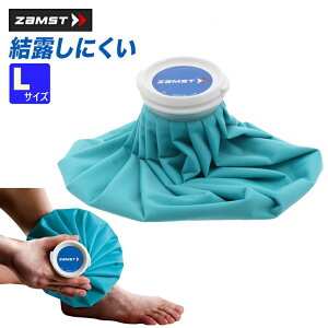 10/15聚Iōő100PobN UXg ACXobO L 378103 X̂ ACVO ΍ ΍ LTCY 26cm zamst