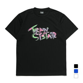 トランジスタ メンズ レディス ハンドボール 半袖プラクティスシャツ DRY S/S T-shirt Graffiti HB24TS06 TRANSISTAR
