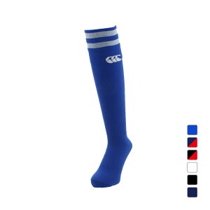 ő10OFFN[| y11/30`12/1z J^x[ Y Or[ 2LINE STOCKINGS 2CXgbLO AS04054 CANTERBURY