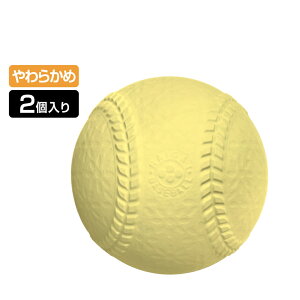 11/1聚Iōő100PobN eBS S 싅 炩 Z[teB[{[ cwNp WjA(LbYEq) 싅 g[jO{[ TIGORA