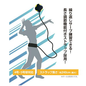 11/15聚Iōő100PobN eBS o[{[pg[jOxg o[K@  o[{[  TIGORA