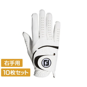 10/25聚Iōő100PobN 10Zbg tbgWC StEFA StO[u EFU[\t Ep FGWF23LH Y : zCg FOOT JOY FJ