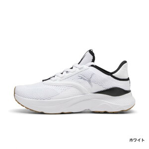 ���i�摜