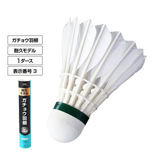 eBS HVg tFU[ K`E 1_[X 3 12 oh~g KpVg TIGORA