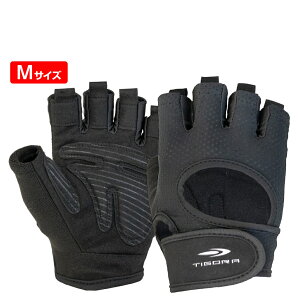 ő10OFFN[| y11/20`11/27z eBS EFCgg[jO O[u M ~ ^In EFCgp TIGORA