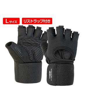 ő10OFFN[| y11/20`11/27z eBS EFCgg[jO O[u L ~ ^In Xgbvt EFCgp TIGORA