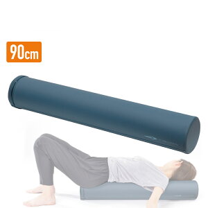 ő10OFFN[| y11/20`11/27z eBS bNX|[ Jo[t EPP 90cm g[jO Xgb` p {fBeiX TIGORA