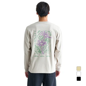 11/25聚Iōő100PobN NCbNVo[ Y T[t TVc CRAZY DAISY LT QLT244032 QUIKSILVER