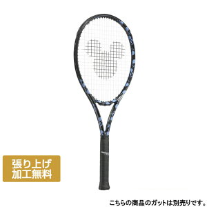 vX Ki Disney BEAST100(280g) r[Xg100 280g fBYj[ 7TJ229 dejX 胉Pbg : ubN×u[ Prince