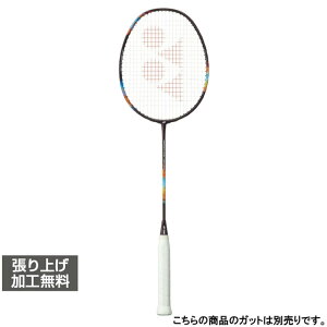 ���l�b�N�X NANOFLARE 700 PRO �i�m�t���A700�v�� 2NF-700P �o�h�~���g�� �����胉�P�b�g : �O���[�v YONEX