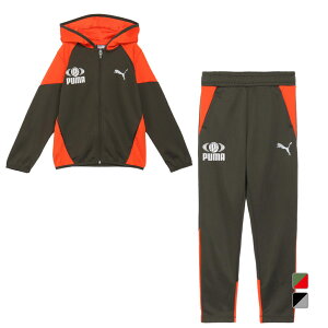 ő10OFFN[| y10/4`10/10z v[} WjA LbY q W[W ㉺Zbg 684016 684003 g[jOEFA PUMA