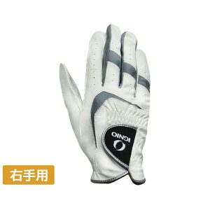 ő10OFFN[| y10/30z COjI IGNIO StO[u EFzCg IG-1G1325R Y  golf5