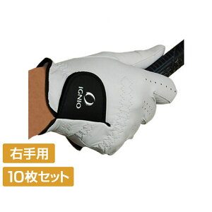 ő10OFFN[| y11/20`11/27z 10Zbg COjI StO[u Y E VRrv IG-1G1036GG ܂Ƃߔ IGNIO