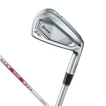 楽天市場】スリクソン z585 nspro950 アイアン6セットの通販