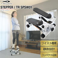 6/15限定★抽選で最大100％Pバック ティゴラ ステッパー ツイスト機能 静音 省スペース お手軽モデル TIG…