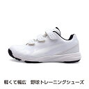 ティゴラ 軽くて幅広 野球トレーニングシューズ TR-8BS1004WH 野球 トレーニングシューズ 4E : ホワイト×ホワイト TI…