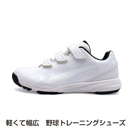 最大10％OFFクーポン 【1/18】 ティゴラ 軽くて幅広 野球トレーニングシューズ TR-8BS1004WH 野球 トレーニングシューズ 4E : ホワイト×ホワイト TIGORA