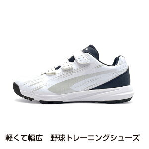 eBS yĕL 싅g[jOV[Y TR-8BS1004WN 싅 g[jOV[Y 4E : zCg×lCr[ TIGORA