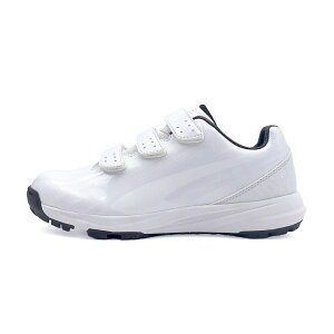 eBS yĕL 싅g[jOV[Y JR TR-8BS4004WH WjA(LbYEq) 싅 g[jOV[Y 3E : zCg×zCg TIGORA