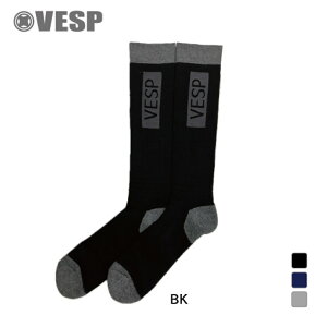 xXv Y XL[/Xm[{[h \bNX BOX LOGO SOCKS VPMK1001 VESP