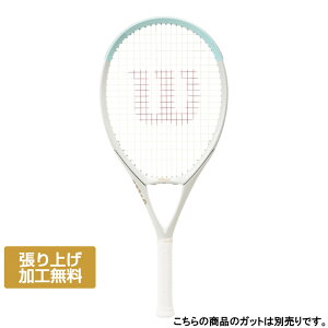 5/20���聚���I�ōő�100��P�o�b�N �E�C���\�� �������K�i 3.0J 113 BLUE WR187311 �d���e�j�X �����胉�P�b�g : �u���[ Wilson