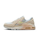 ナイキ ウィメンズ エア マックス エクシー HV6989-025 レディース スニーカー NIKE HV6989 025 imbkk