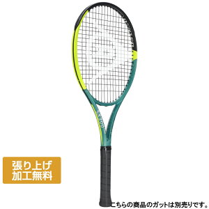 5/20���聚���I�ōő�100��P�o�b�N �_�����b�v �������K�i DUNLOP SX300TOUR 25SX 300 �c�A�[ DS22500 �d���e�j�X �����胉�P�b�g : �C�G���[×�u���[ DUNLOP