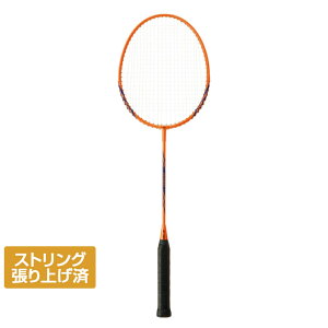 ���l�b�N�X B4000 B4000G �o�h�~���g�� ����オ�胉�P�b�g ���W���[���P�b�g YONEX