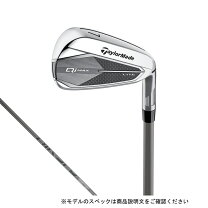 楽天市場】テーラーメイド セット（メンズクラブ｜クラブ）：ゴルフ 