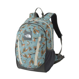 12/5聚Iōő100PobN 2025t UEm[XEtFCX LbY EfB 22L tCA[vg NMJ72358 FP WjA gbLO obNpbN bN THE NORTH FACE